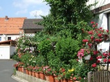 2011- 123.jpg